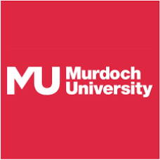 Criminology (second major only) - Murdoch University Dubai