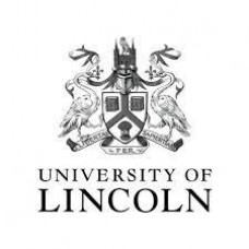 MSc International Business Economics - UOL