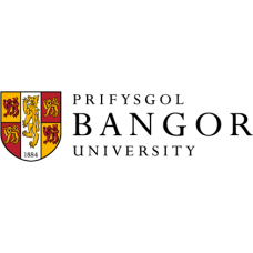 BA MEDIA STUDIES AND ENGLISH LITERATURE - Bangor University